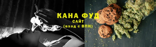 СК Каменногорск