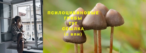 СК Каменногорск
