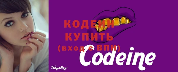 СК Каменногорск