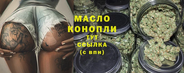 СК Каменногорск
