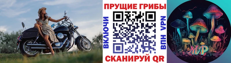 Псилоцибиновые грибы прущие грибы  Златоуст 