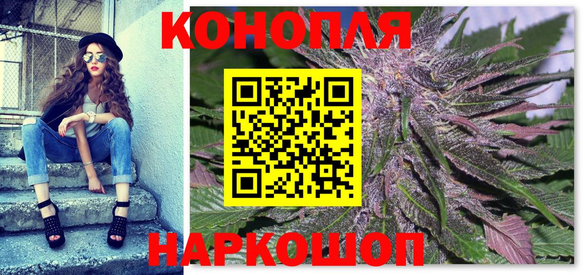 Конопля сатива Златоуст